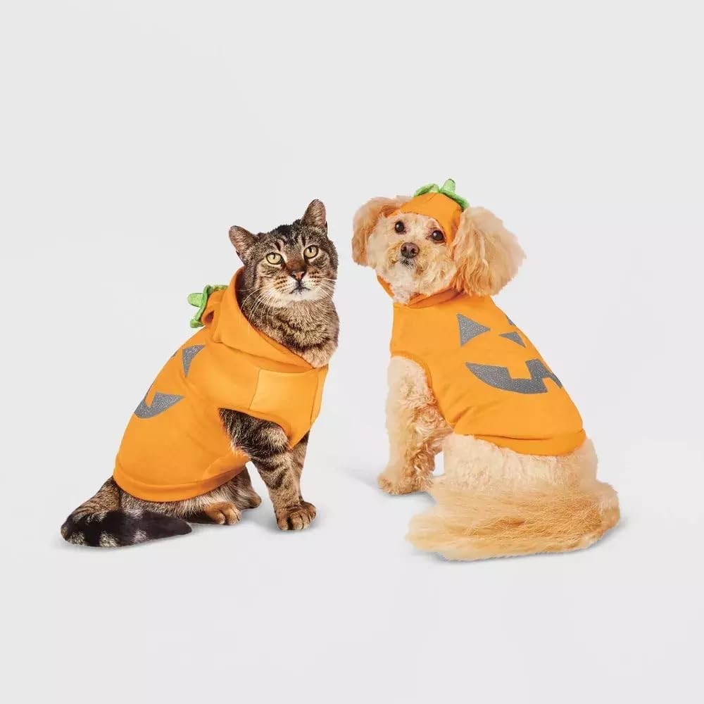Boots & Barkley Pumpkin Dog Costume - Orange and Gray